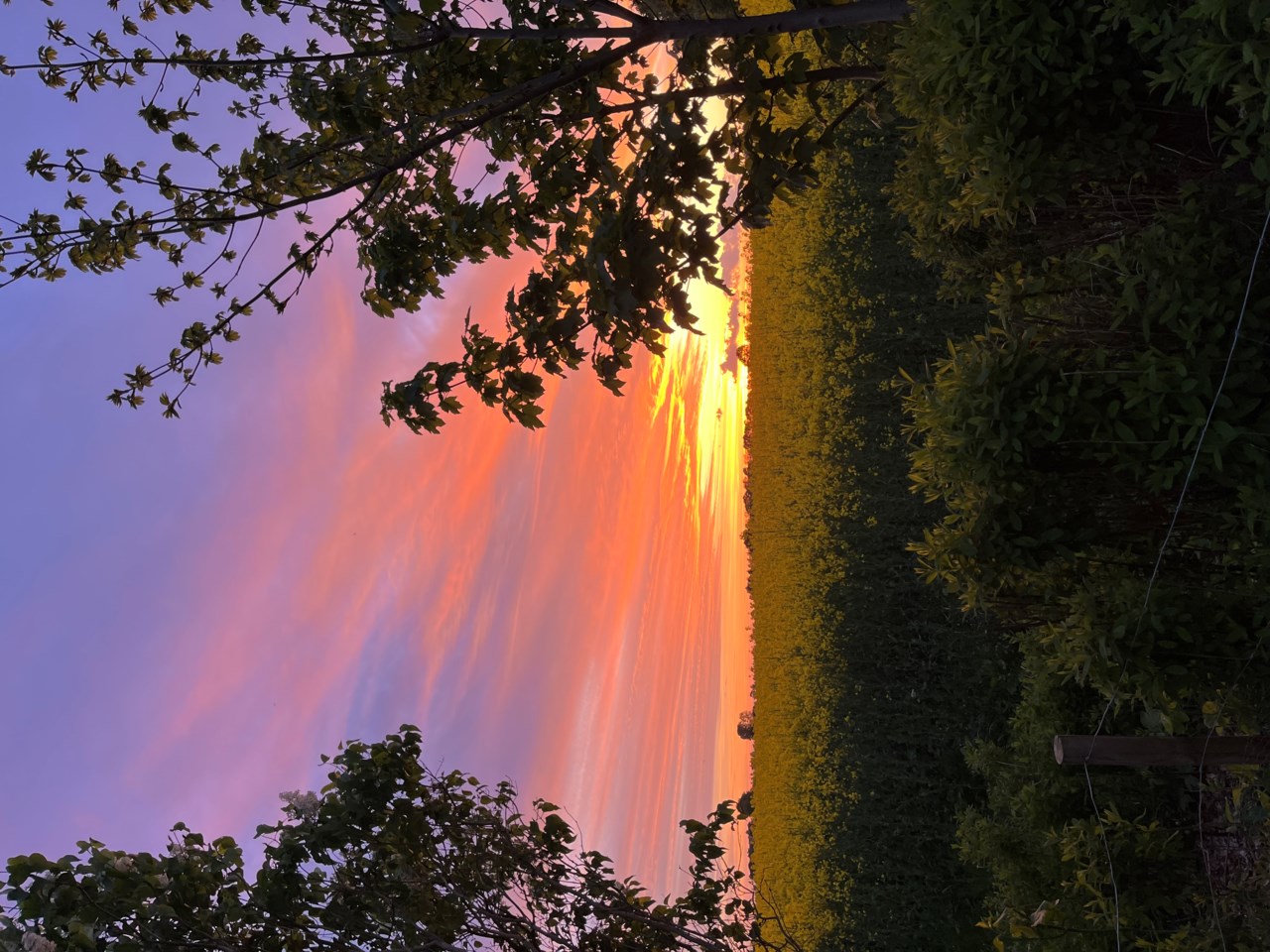Säljarens arkivbilder