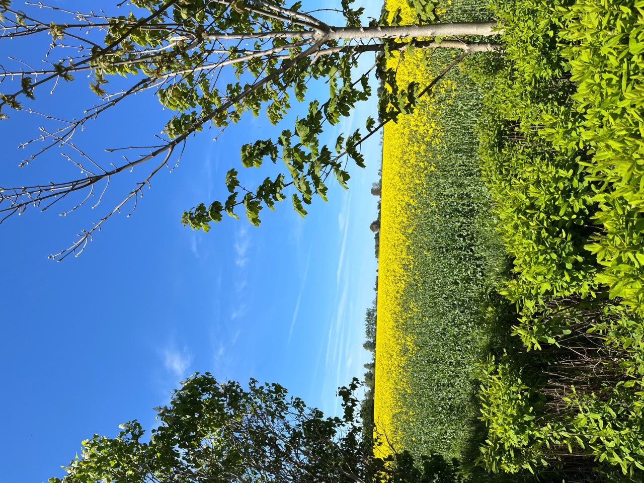 Säljarens arkivbilder