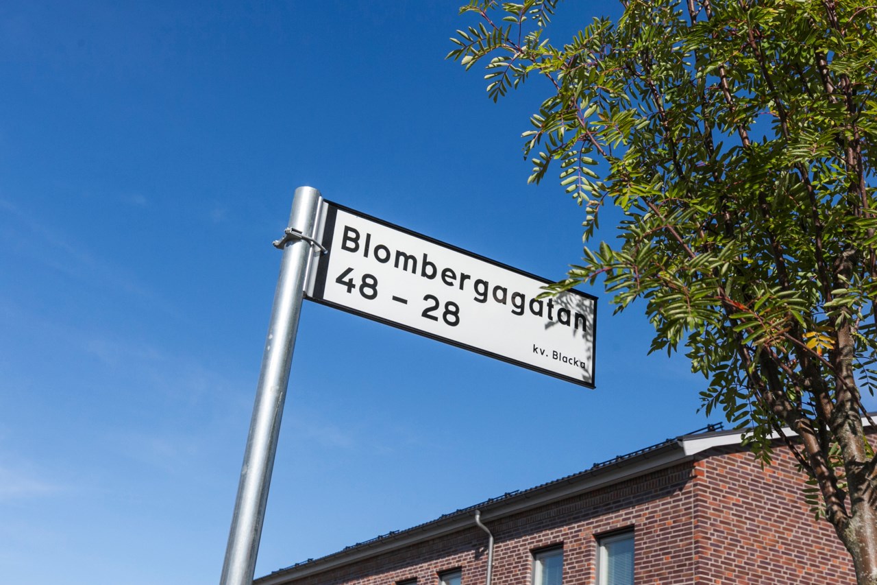 Blombergagatan 38