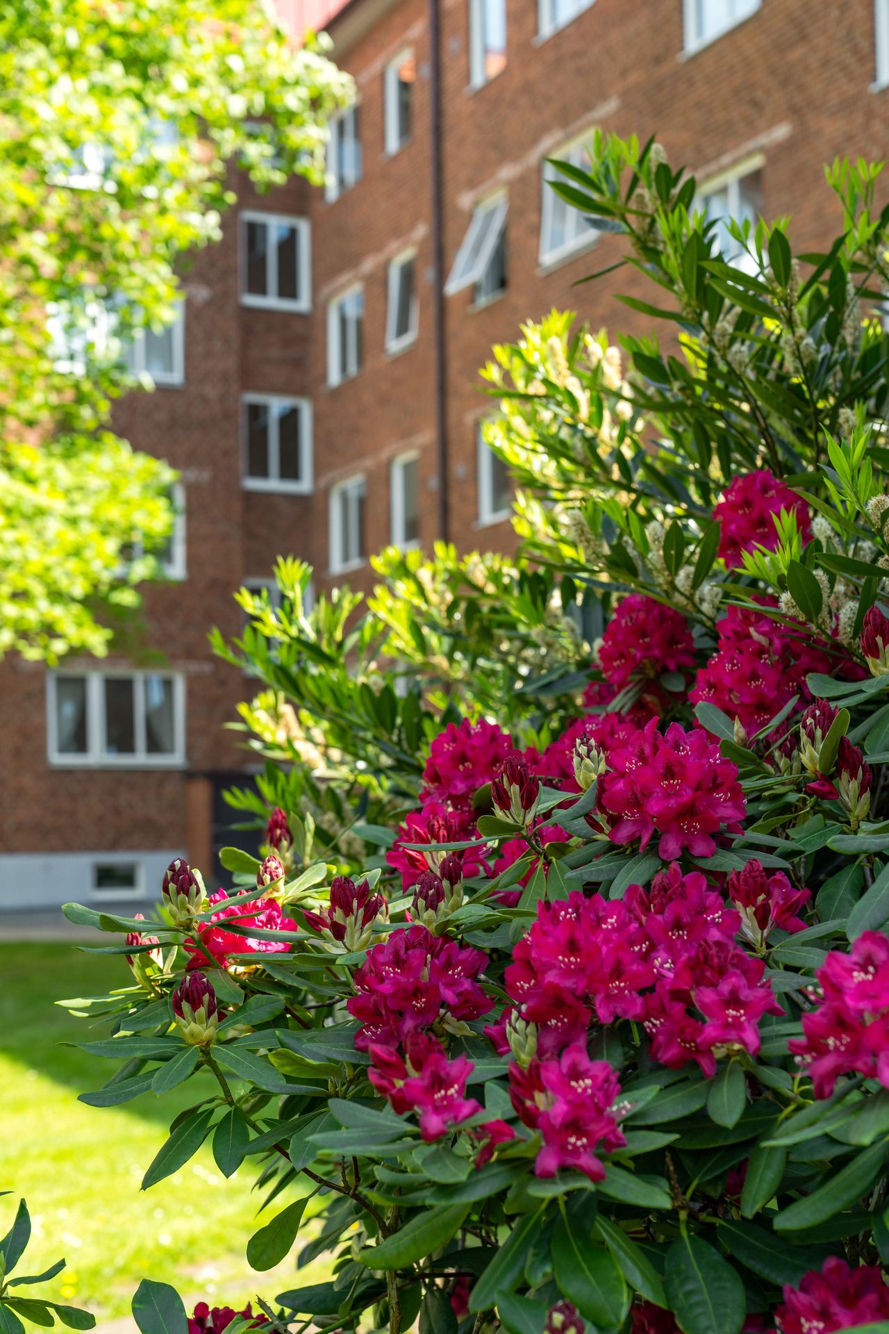 Visitörsgatan 8