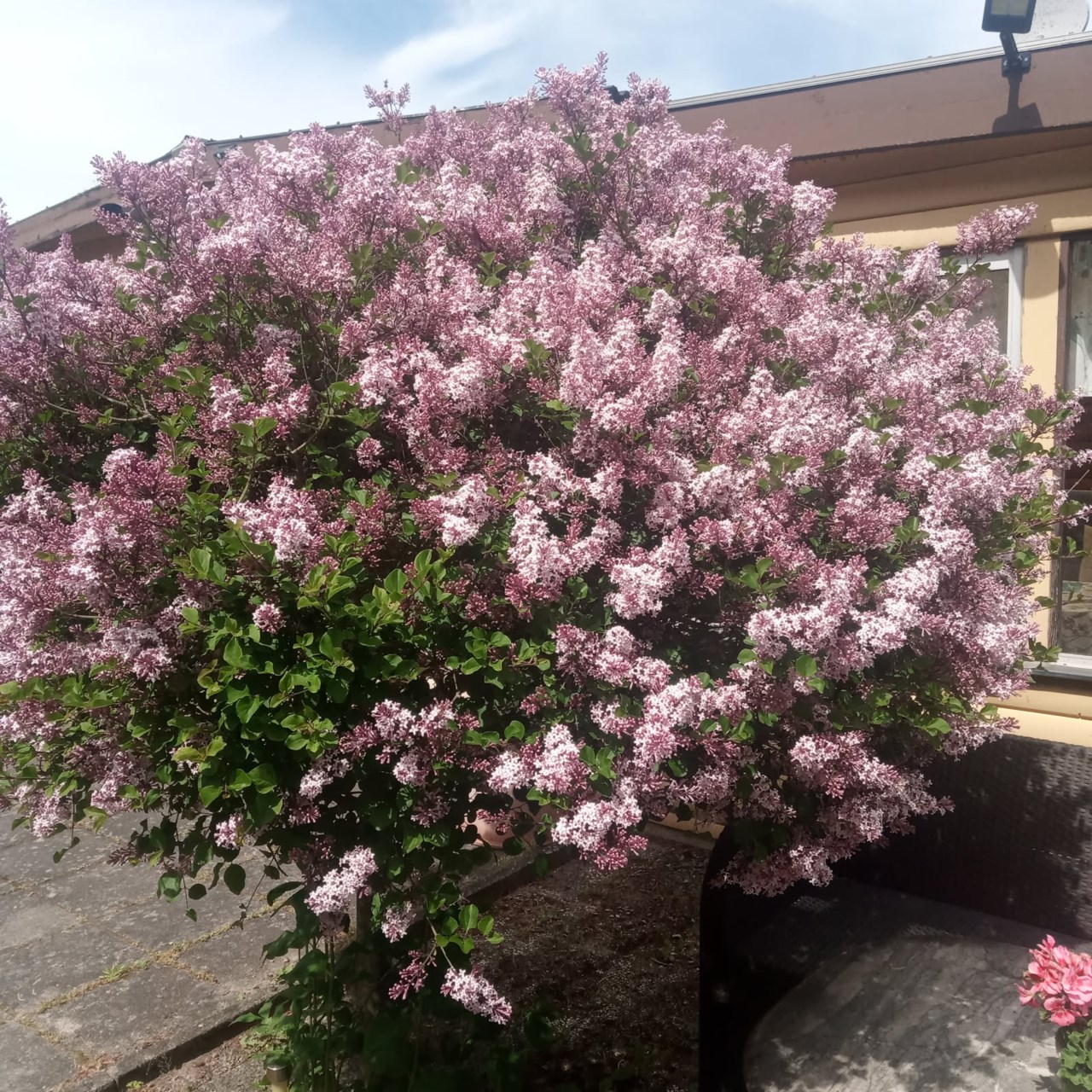 Rosentorpsvägen 16