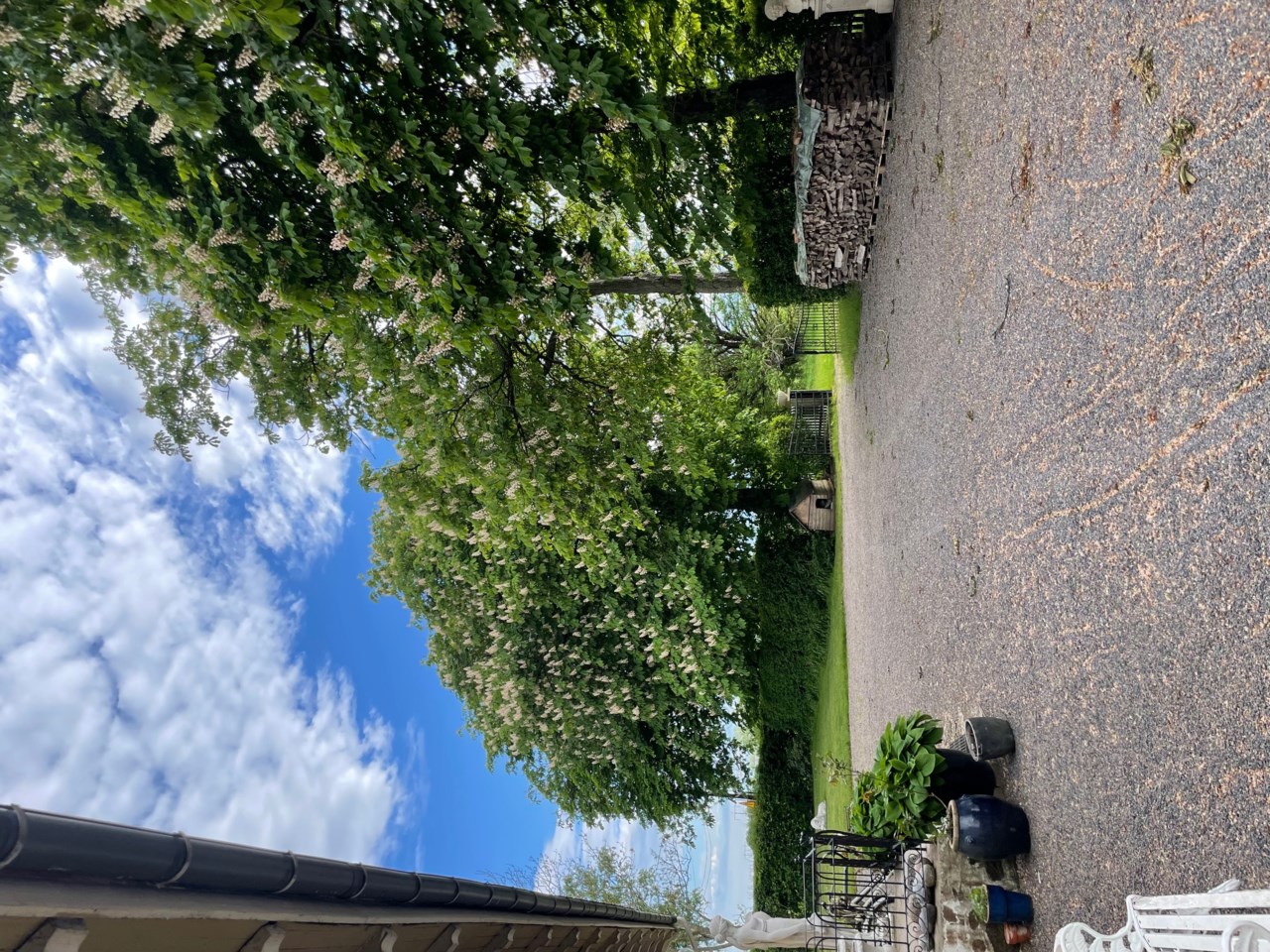 Säljarens arkivbilder