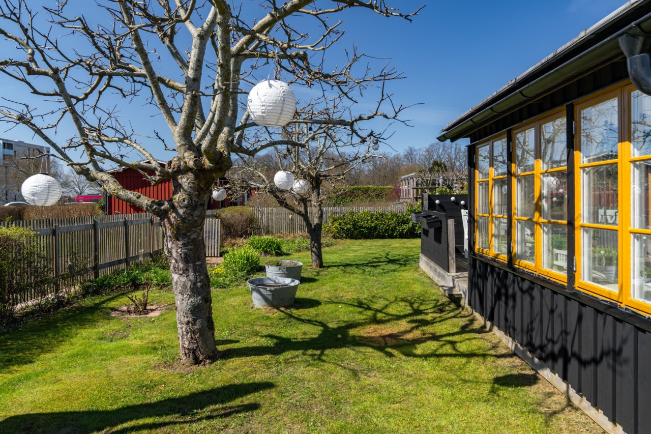 Senderödsvägen 20, Violstigen Kolonilott nr 105