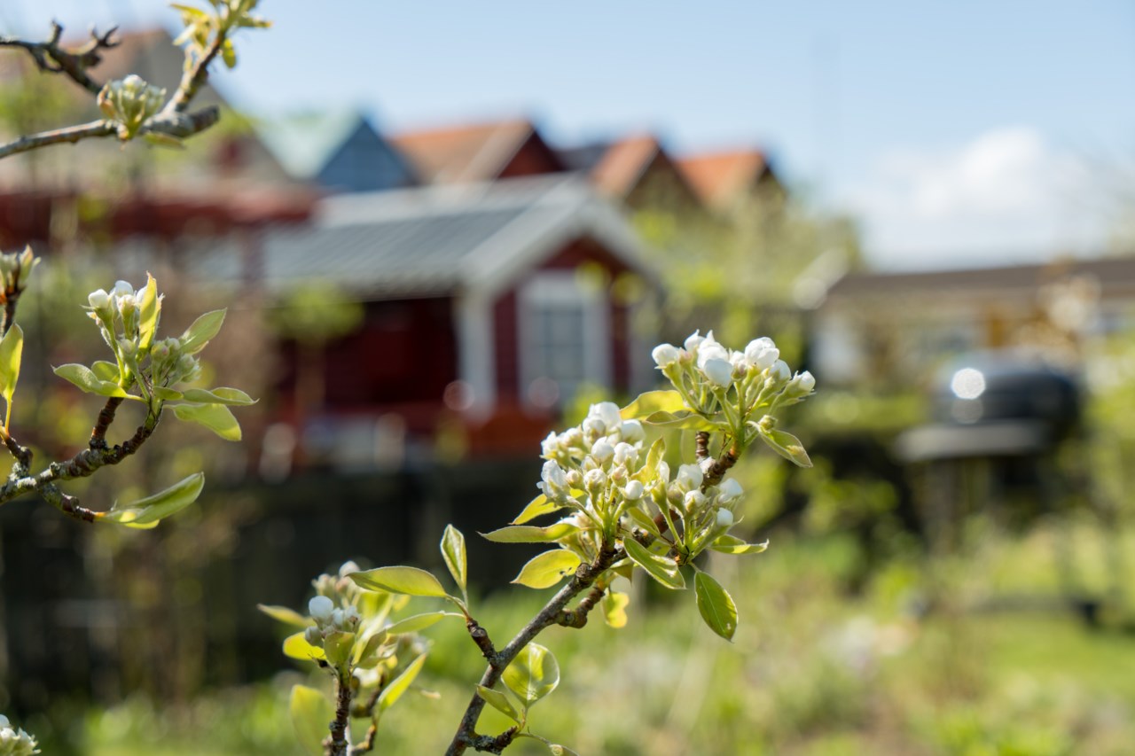 Gottes väg 4, Koloniföreningen Fredriksdal Västra koloni nr 4