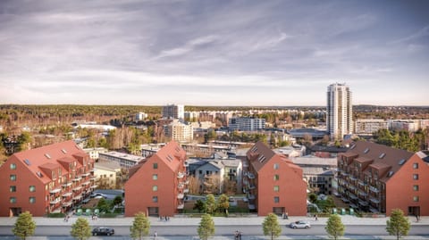 Bollmorabacken