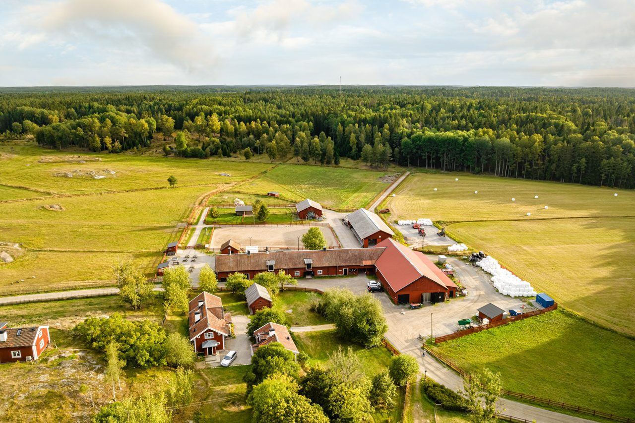 DJI 0892-Redigera_print