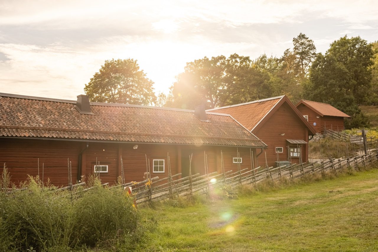 Tulpanvägen 13B