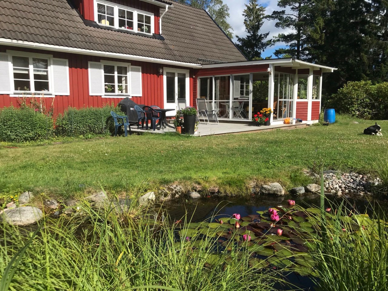 Bild under sommarhalvåret