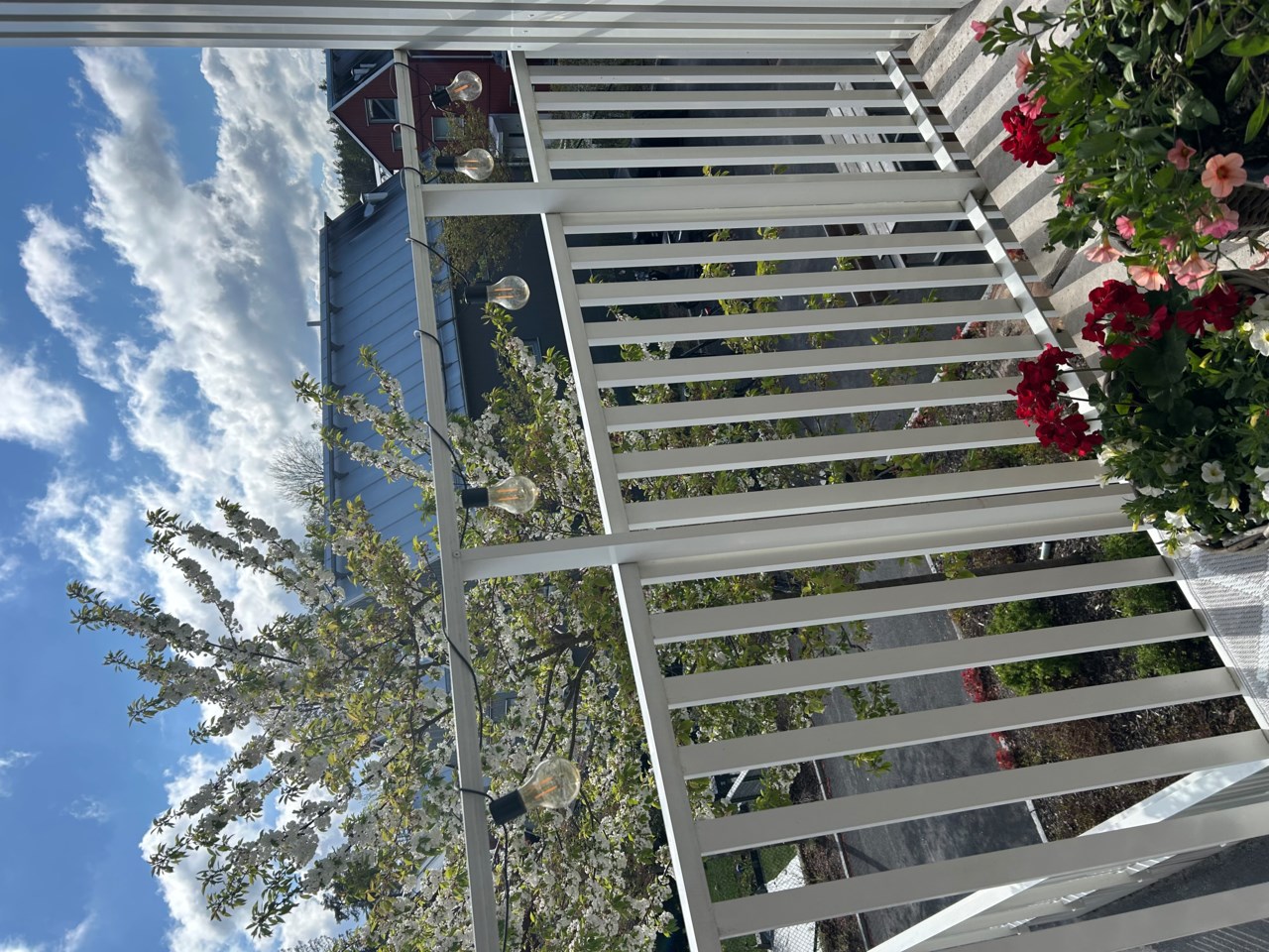 Säljarens bilder