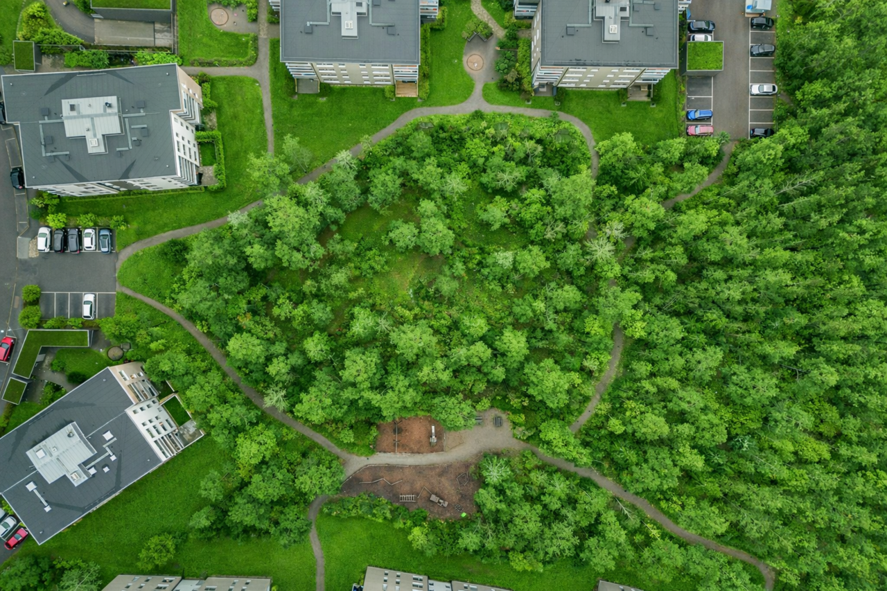 Bostadsrättsföreningen Skogslunden