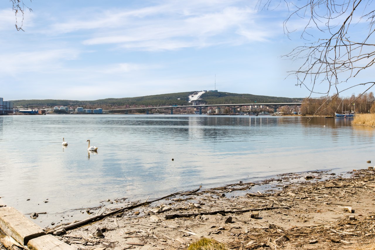 Korstavägen 9