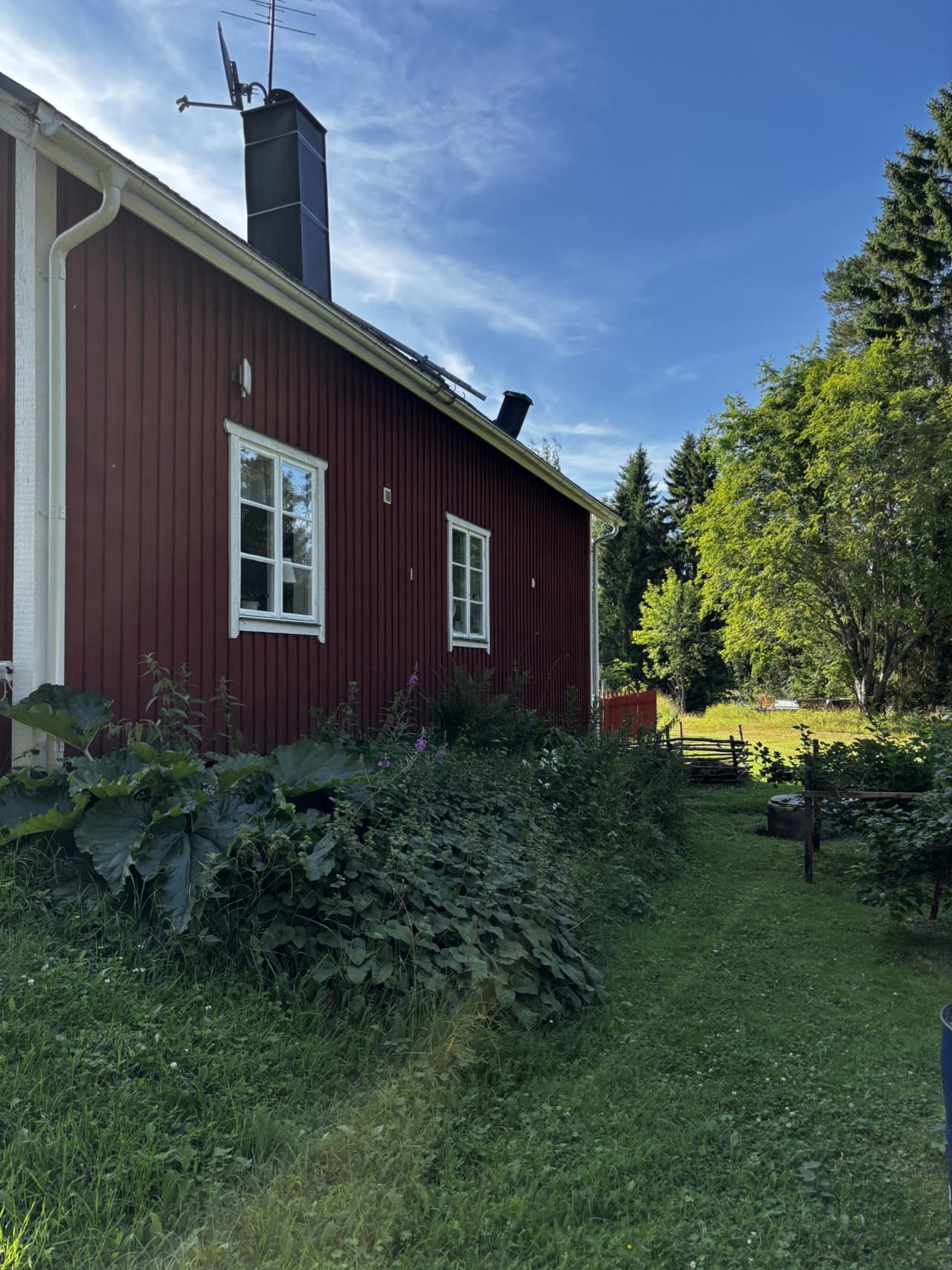 Trädgård