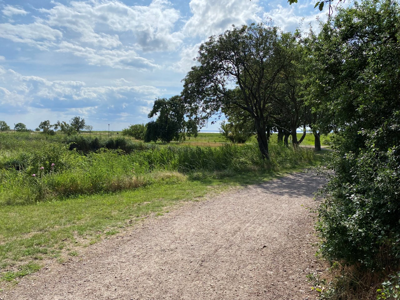 Vengatan 1B