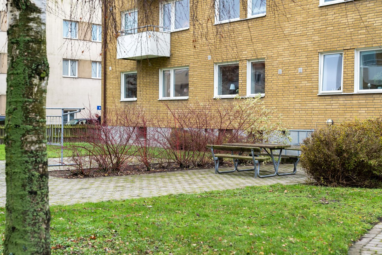 Timmermansgatan 10