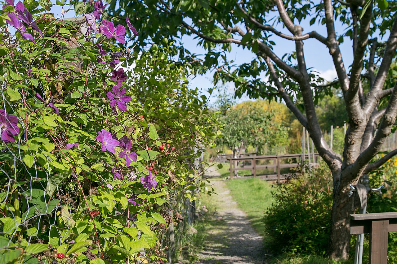 Lidköpingsvägen 21