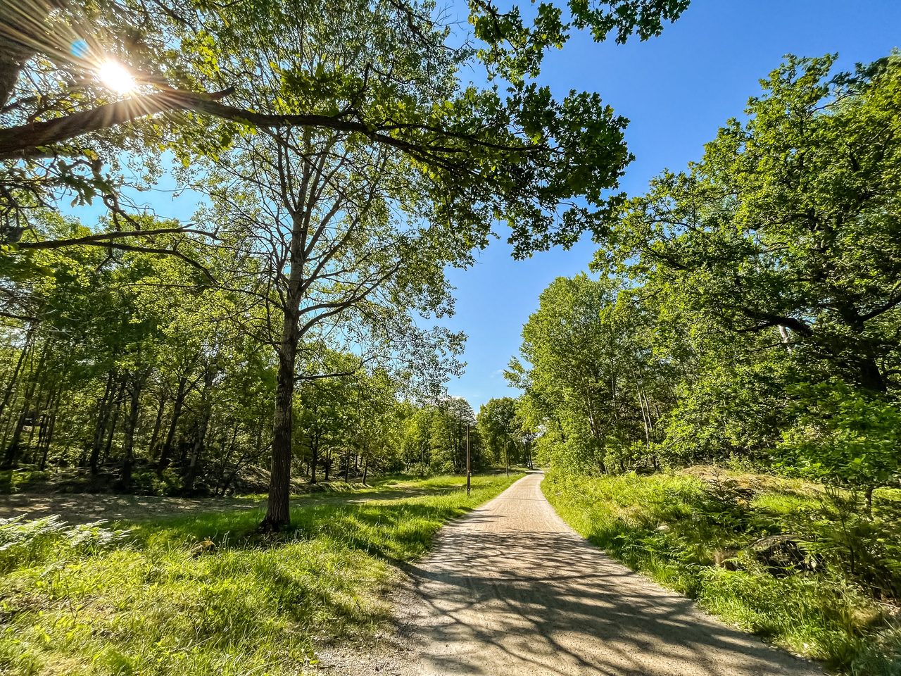 Finn malmgrens väg 75