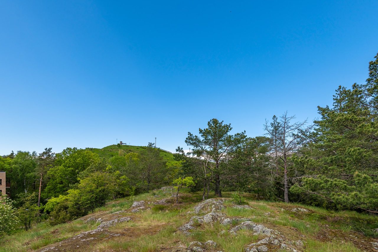 Finn malmgrens väg 75