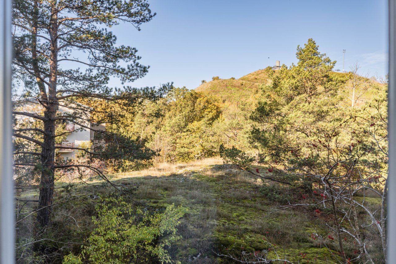 Finn malmgrens väg 75