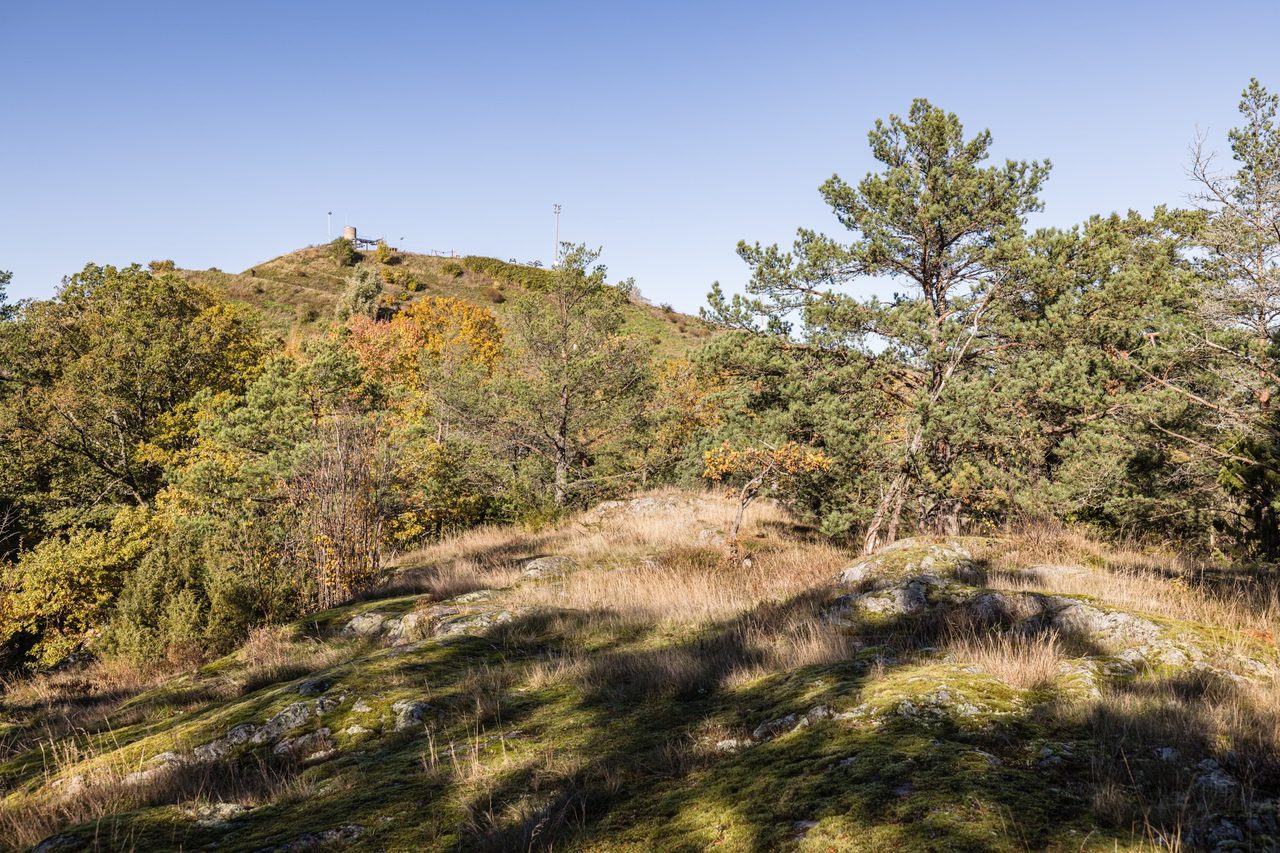 Finn malmgrens väg 75