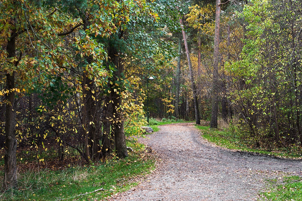 Finn malmgrens väg 75
