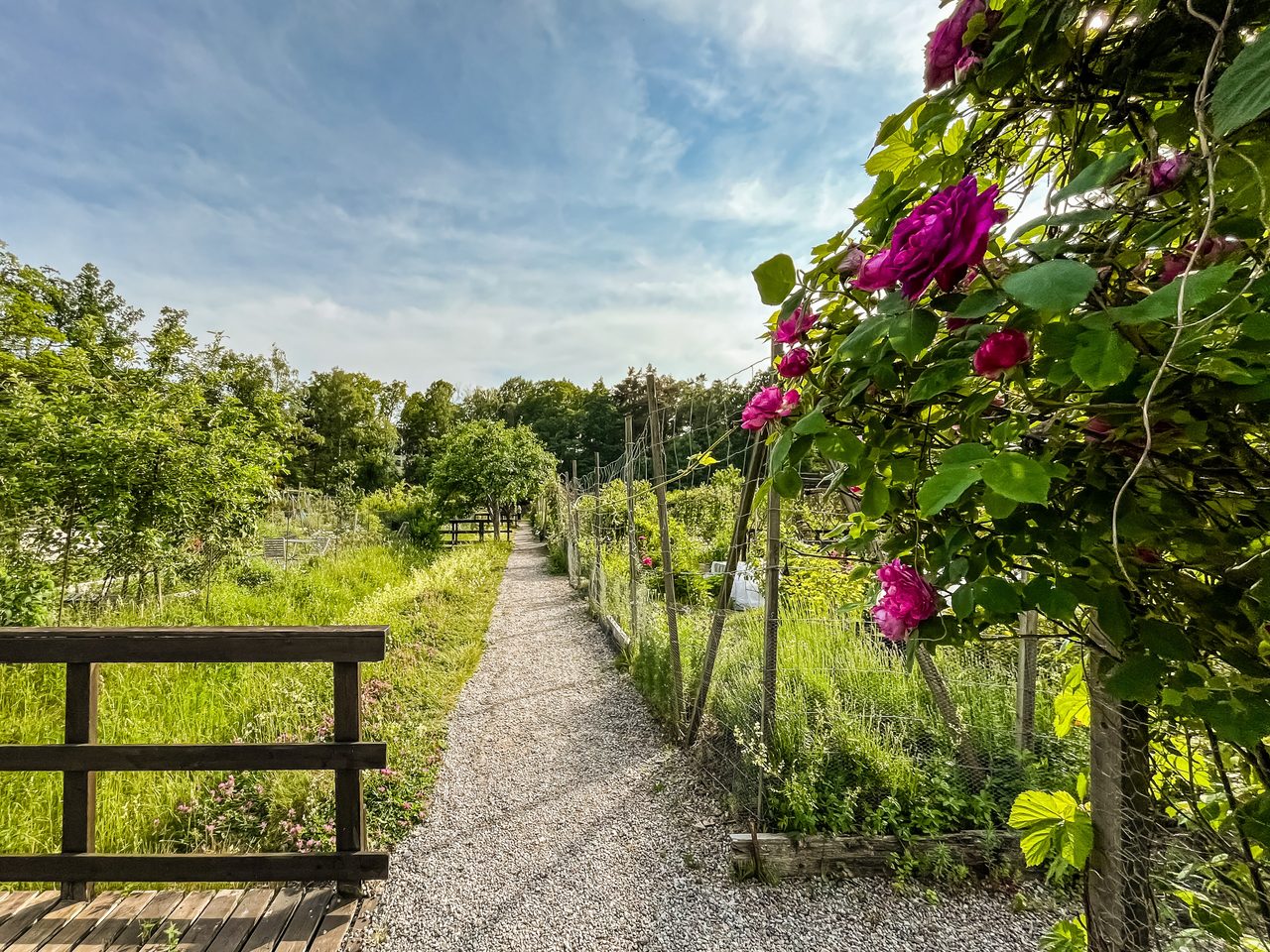 Finn malmgrens väg 75