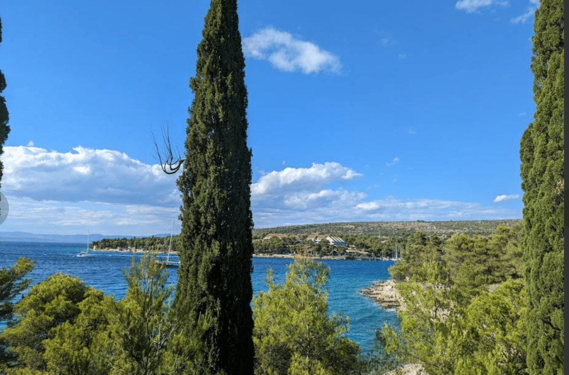 Brac