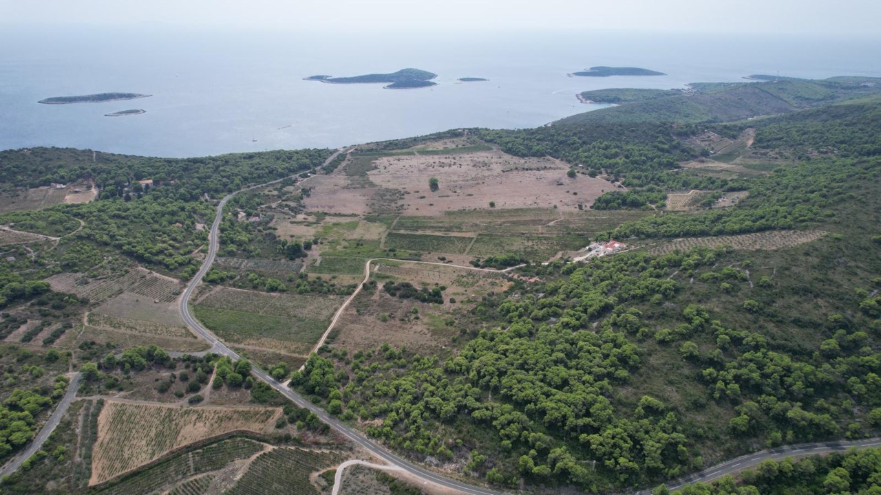 Vis