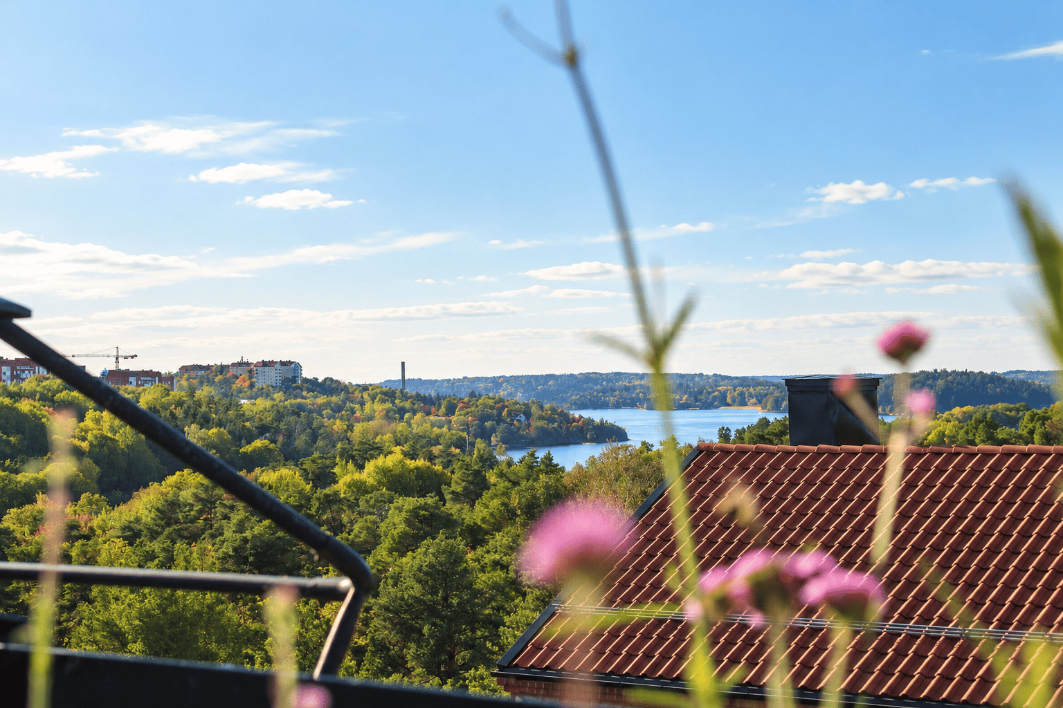 Bild 3 från Svenska Mäklarhuset