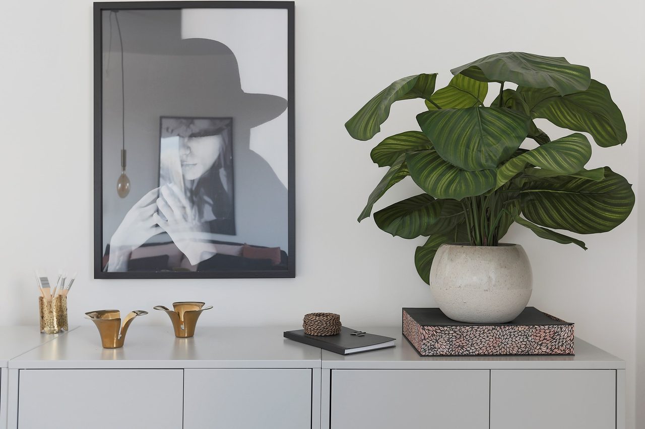 Bild från visningslägenhet med spegelvänd planlösning