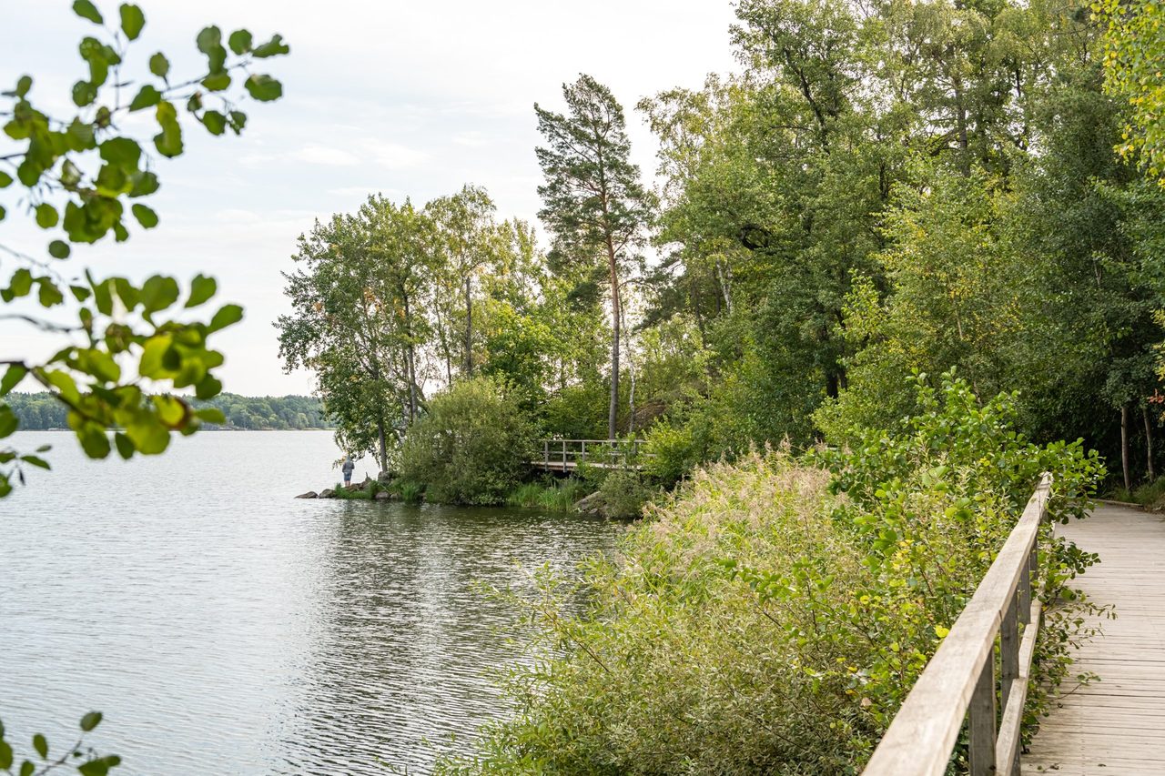 Thorsten Levenstams väg 19