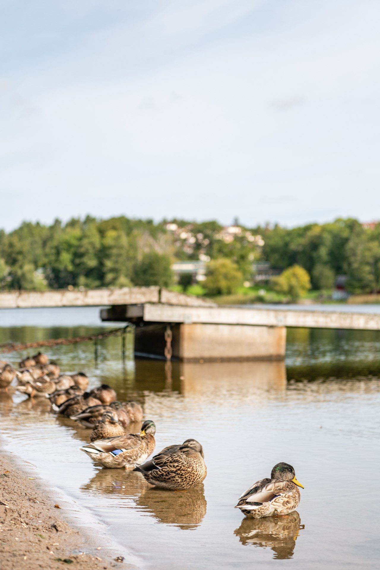 Thorsten Levenstams väg 13A