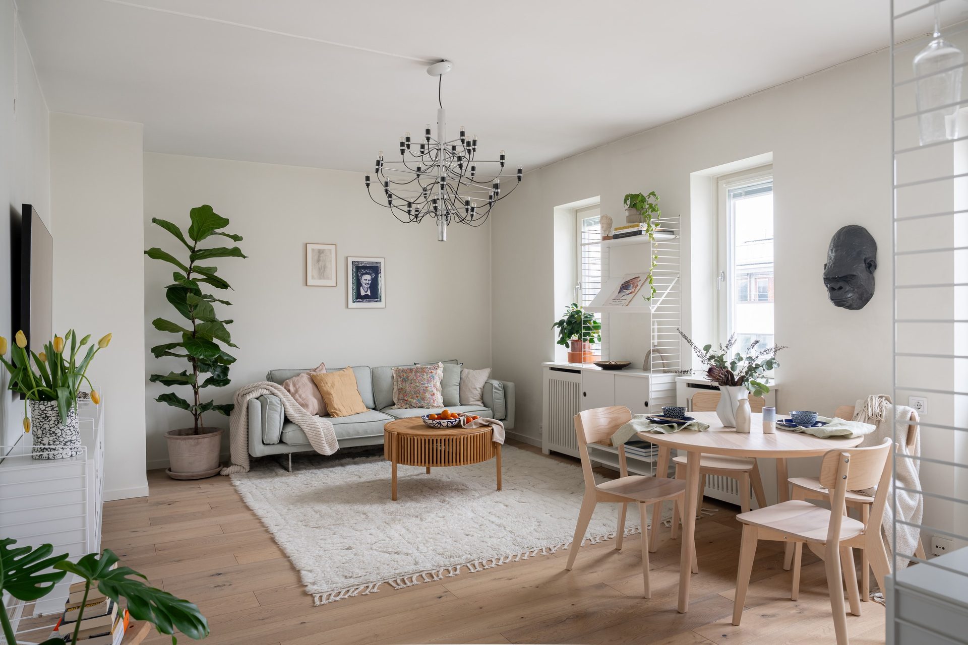 Norrtullsgatan 32, 5 tr