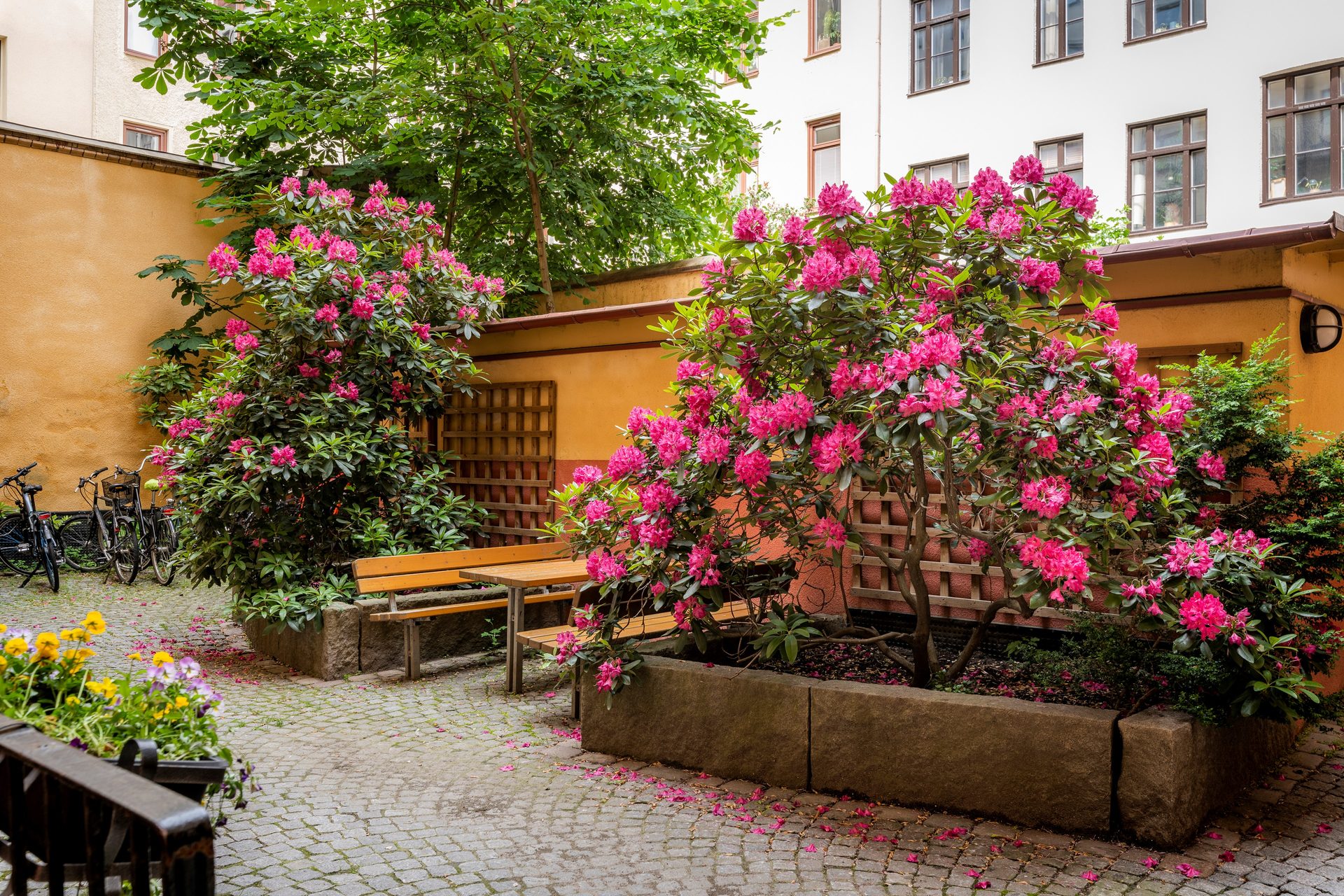 Chalmersgatan tjugofem