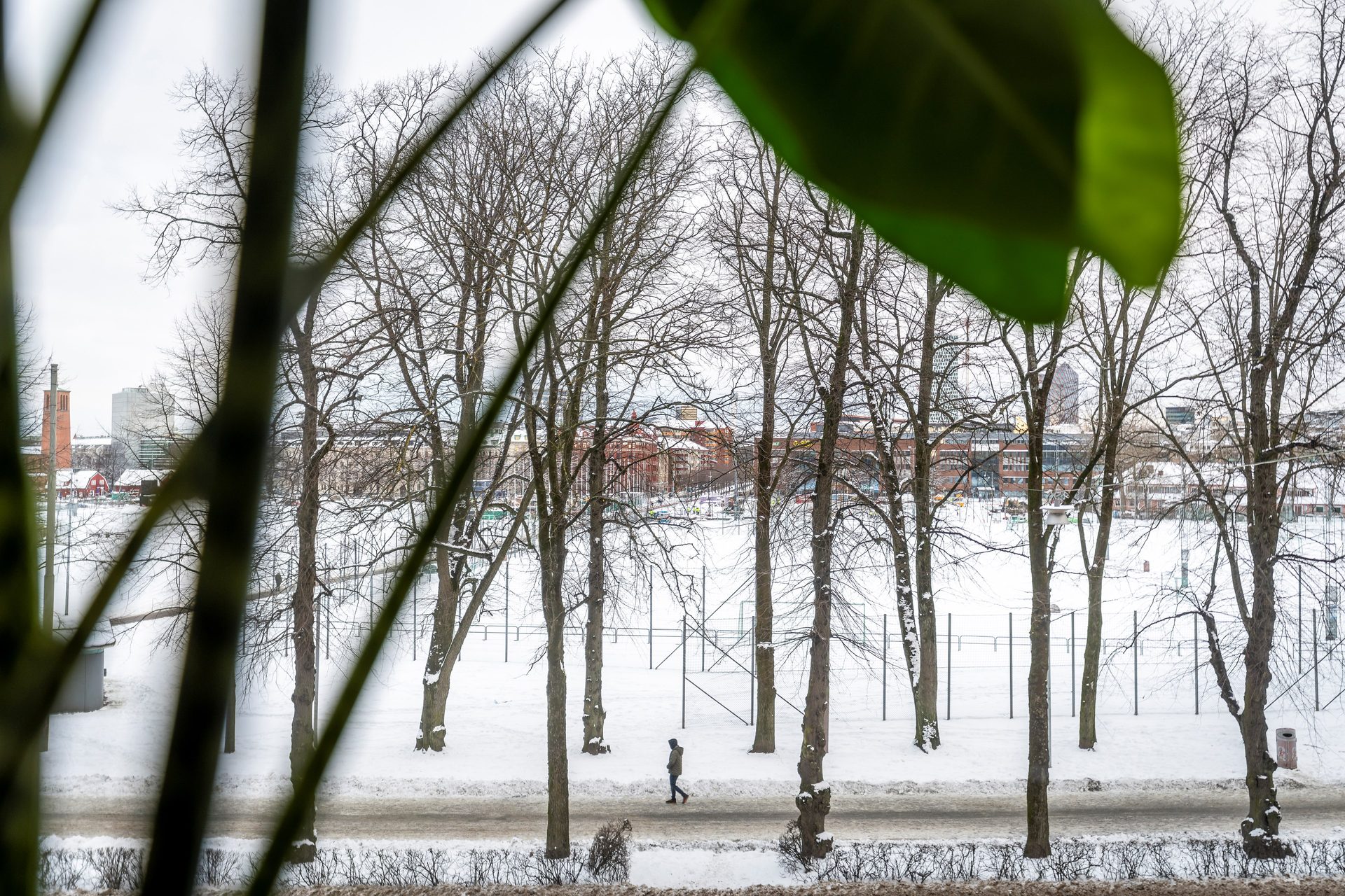 Södra Vägen sjutton