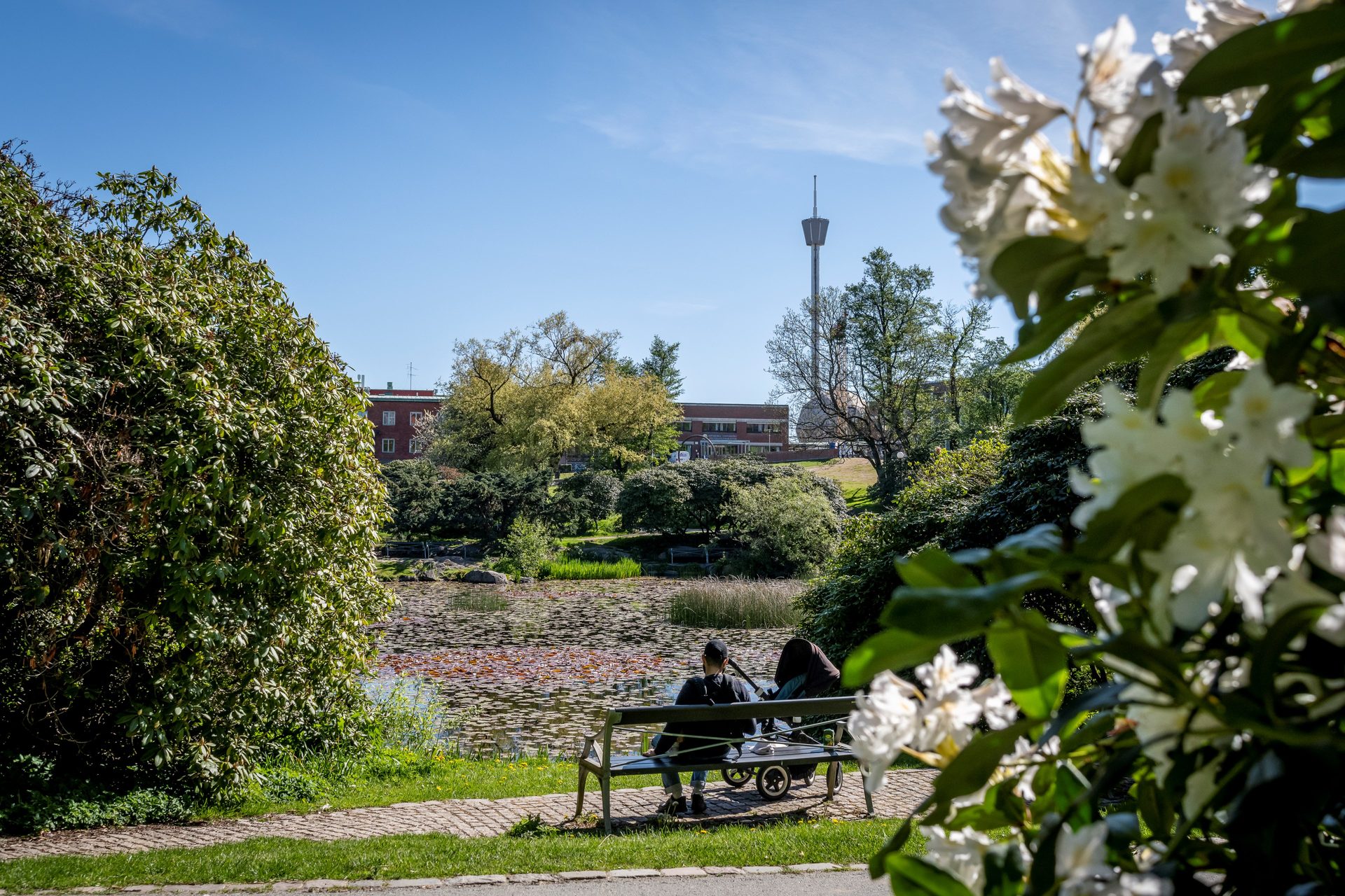 Lennart Torstenssonsgatan nio
