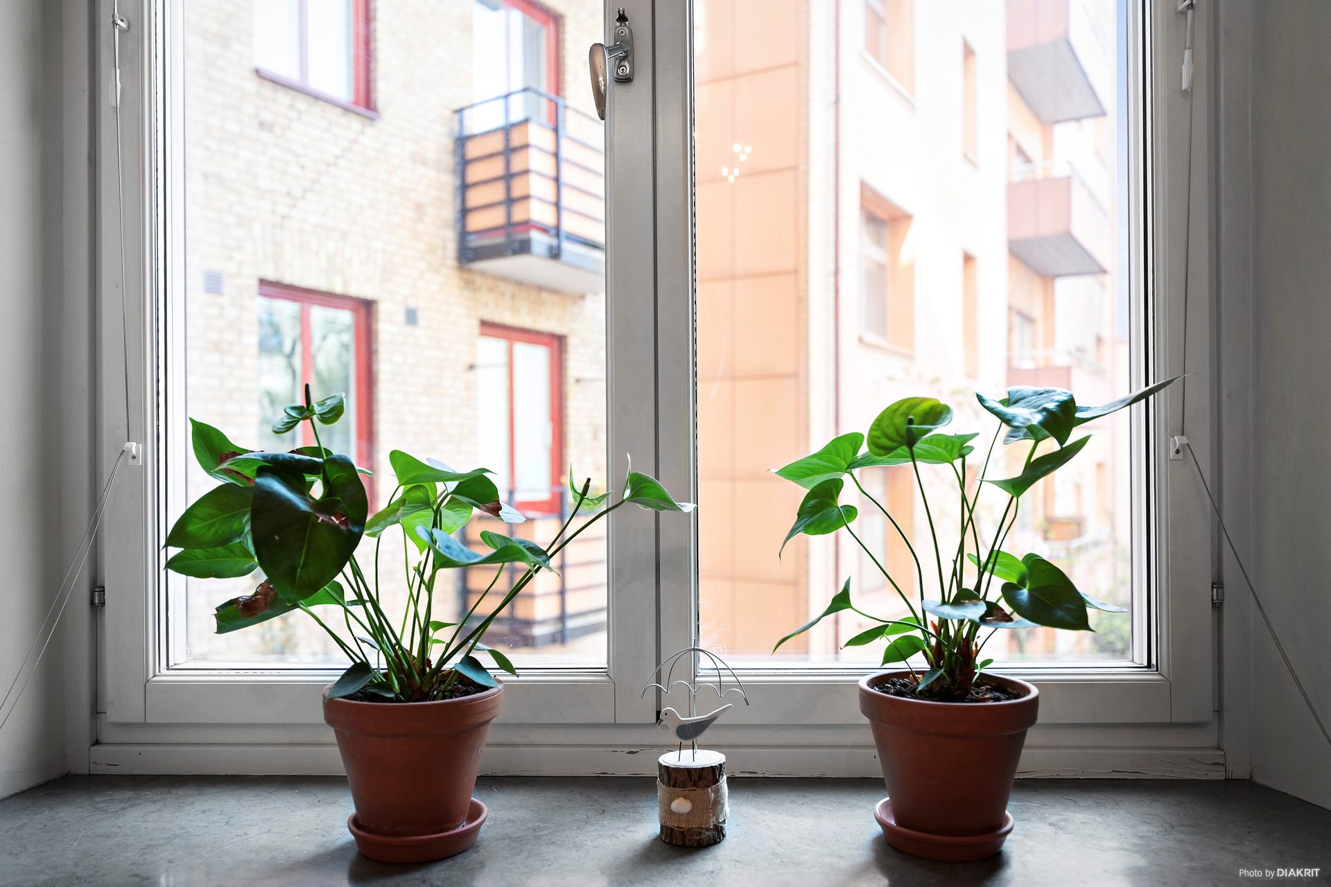 Tegnérsgatan tjugoett