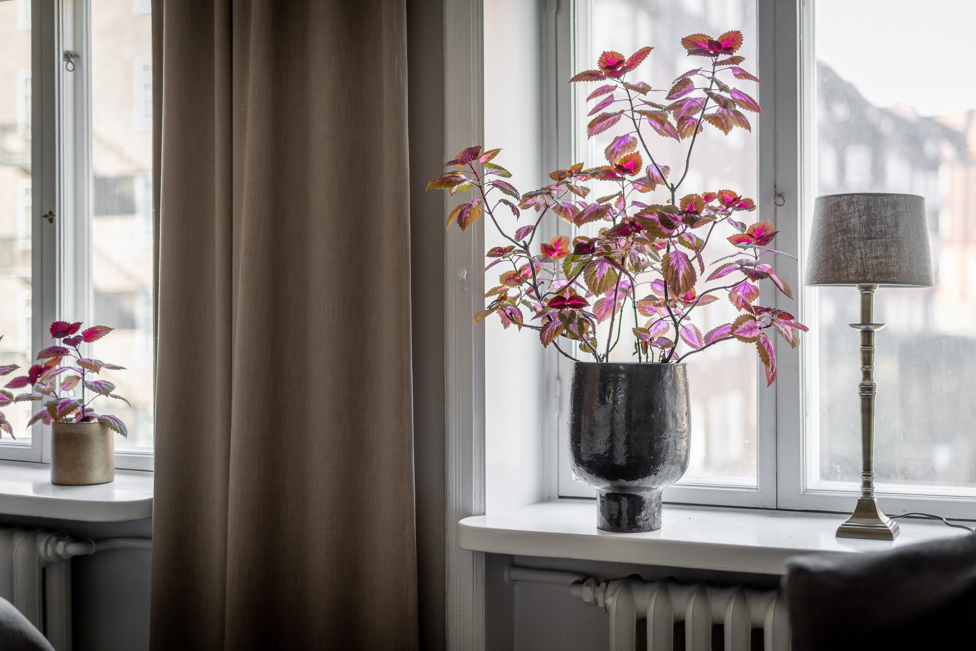 Aschebergsgatan trettiofyra