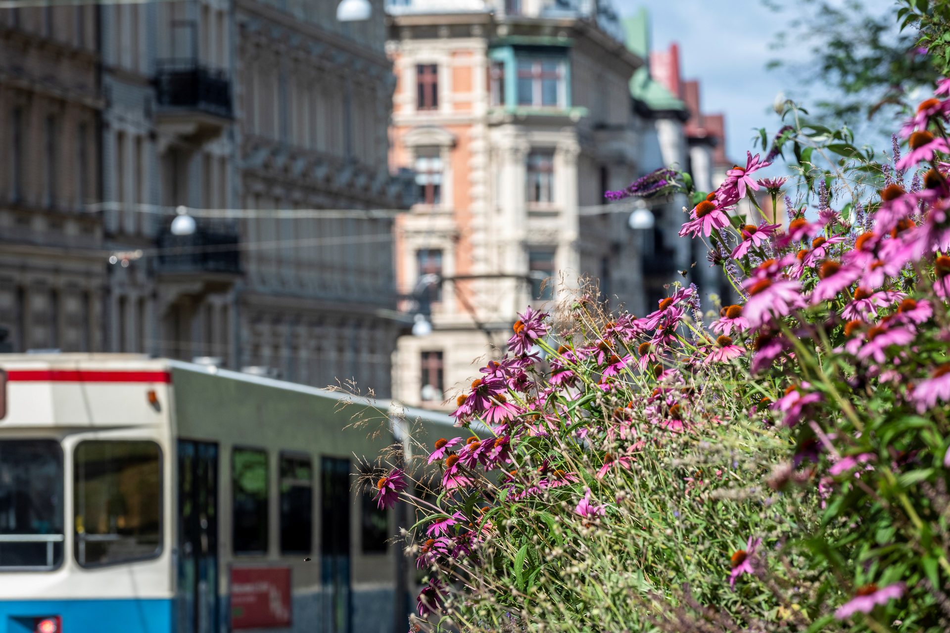 Aschebergsgatan trettiosju