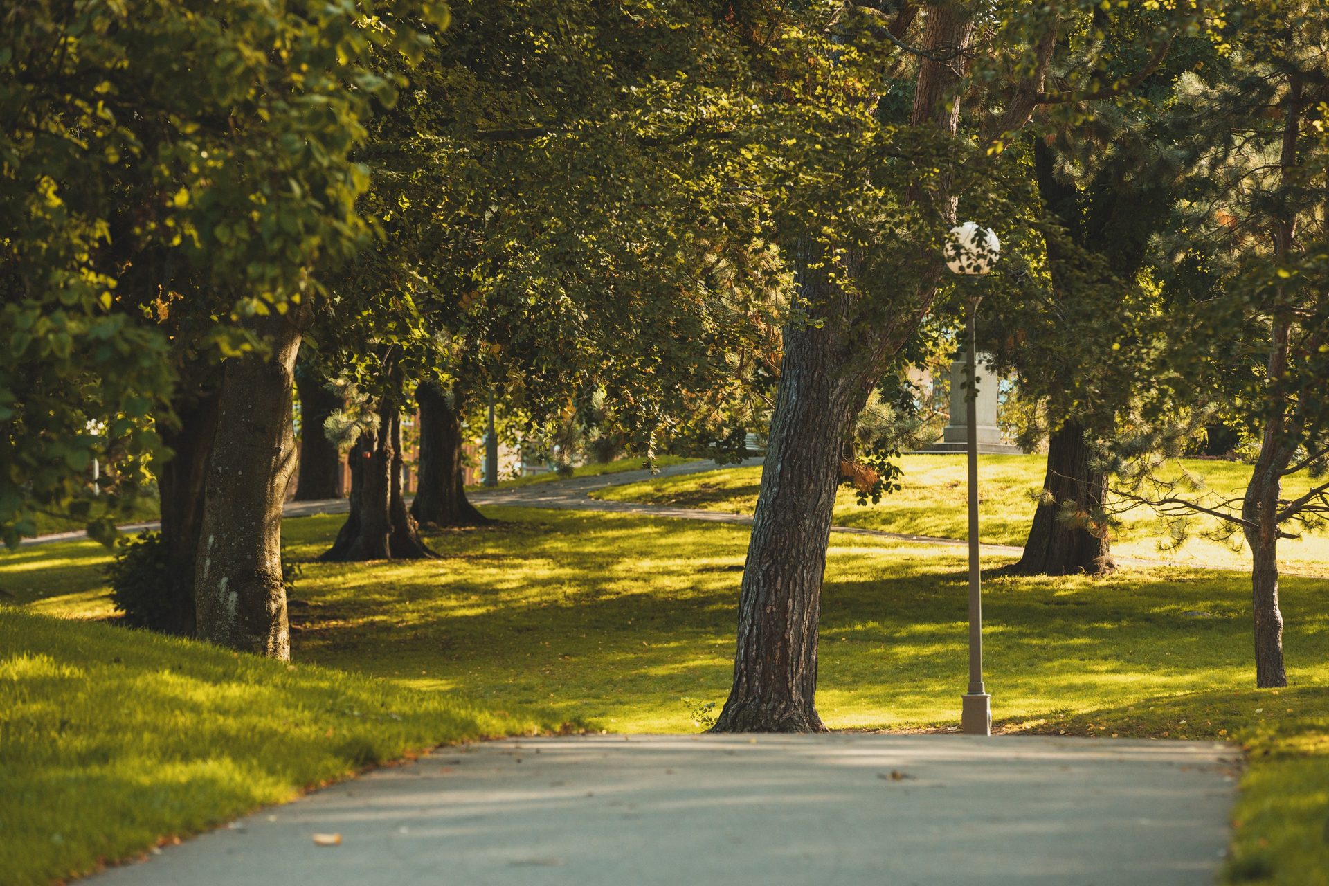Aschebergsgatan trettiosex