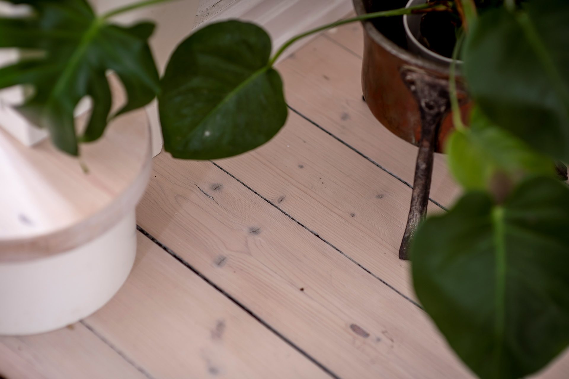 Annedals Trappor ett
