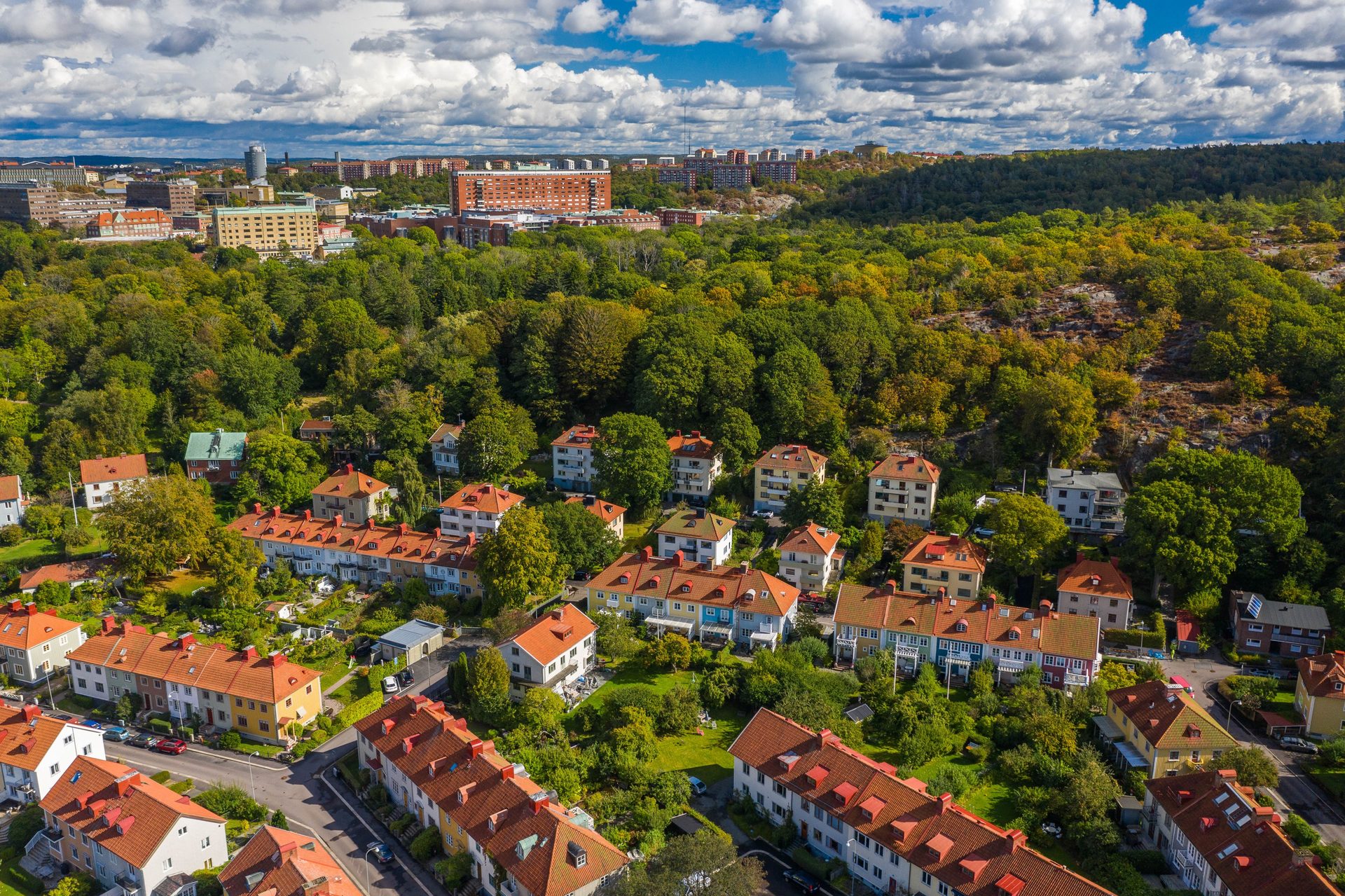 Thorild Wulffsgatan trettioåtta