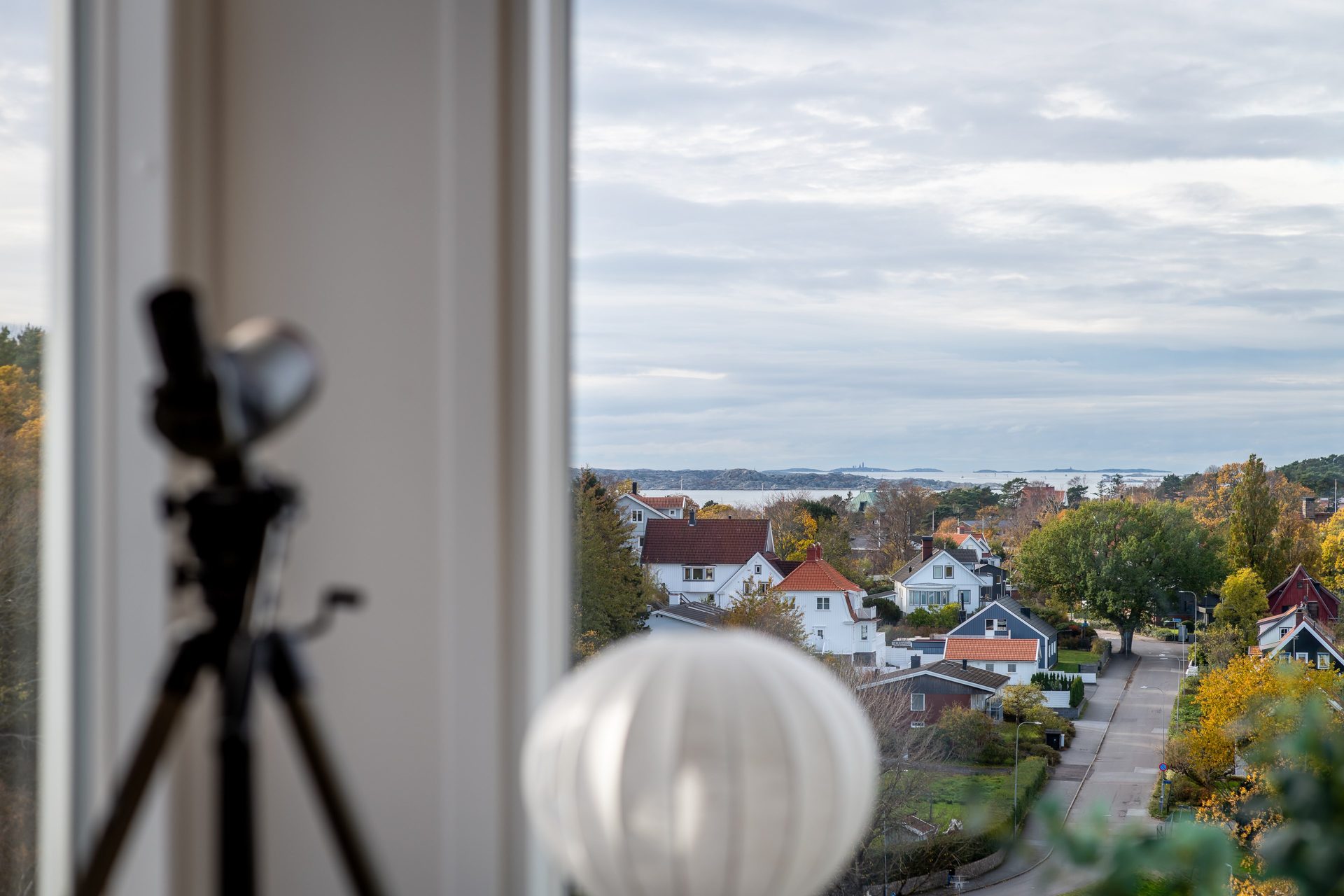 Blodboksgatan tjugosex
