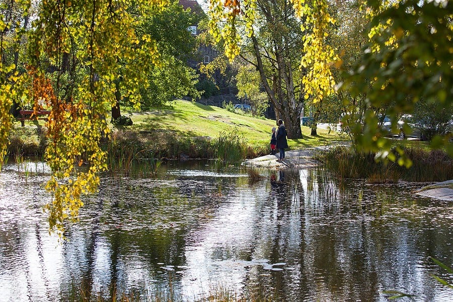 Murgrönsstigen tre