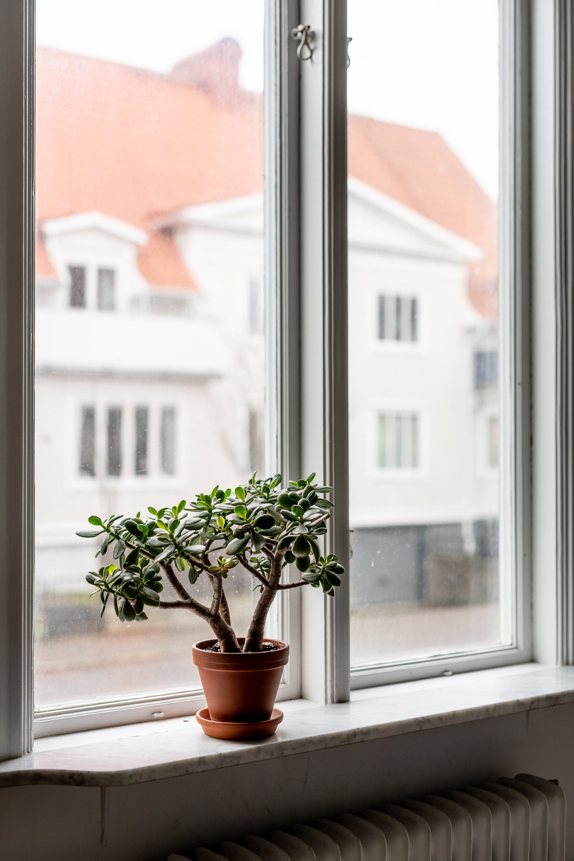 Skårsgatan trettiotre