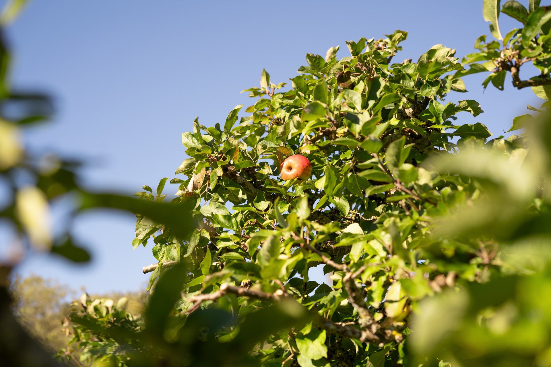 Särö Lundaväg tjugoåtta