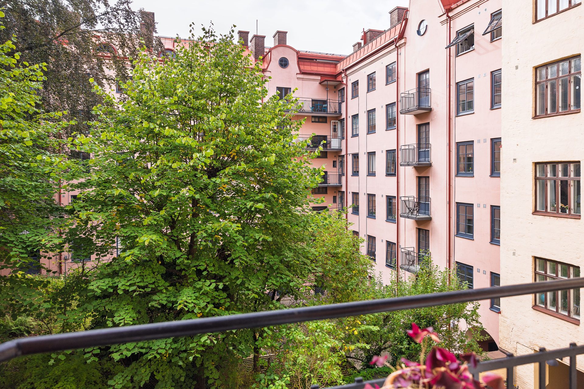 Aschebergsgatan nitton