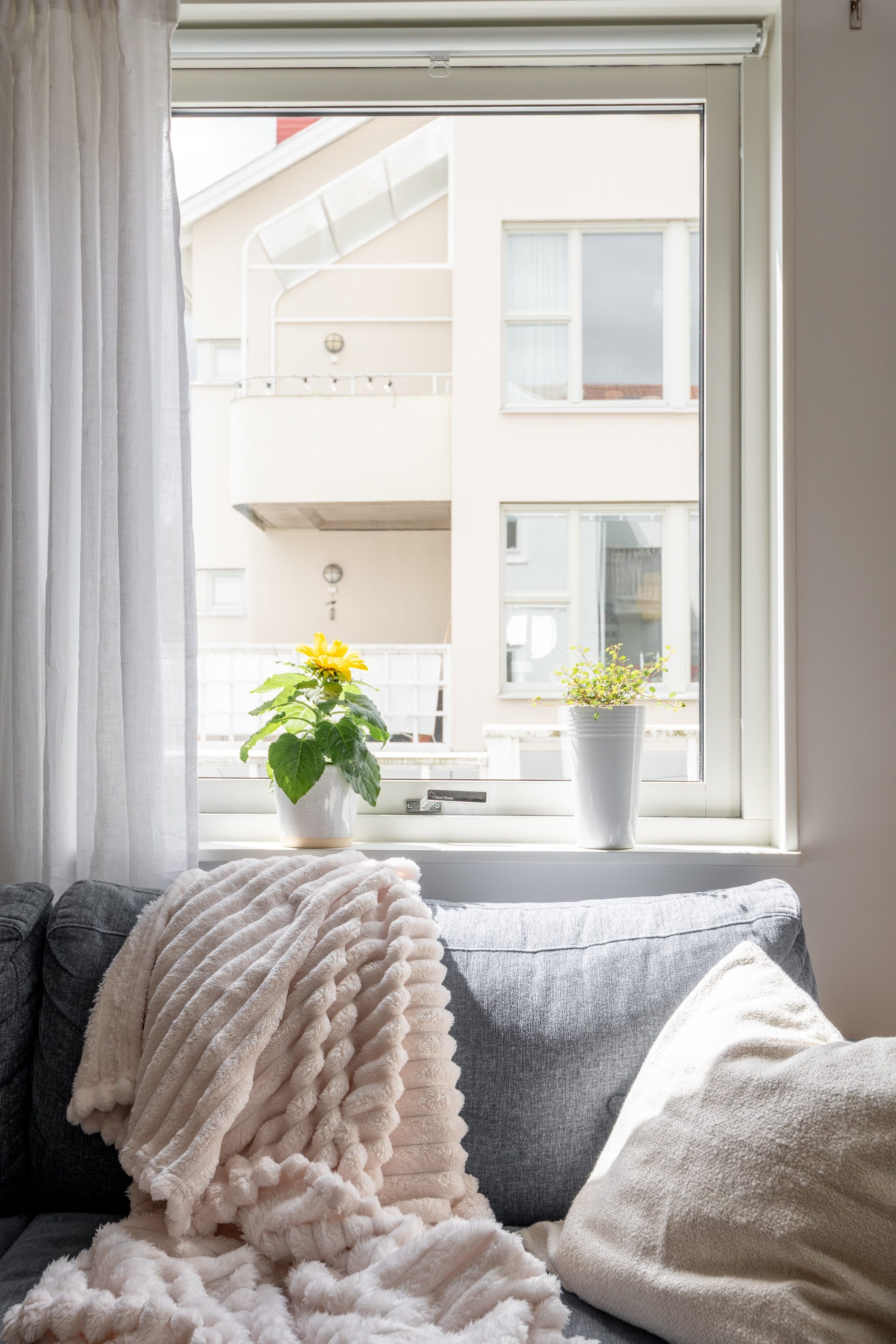 Liljeforsgatan femtiofem